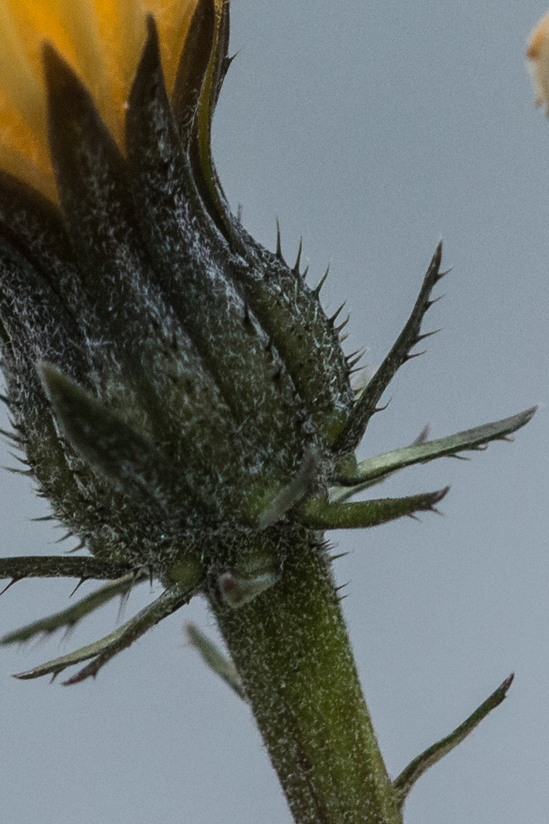0Y0A8884-3.jpg