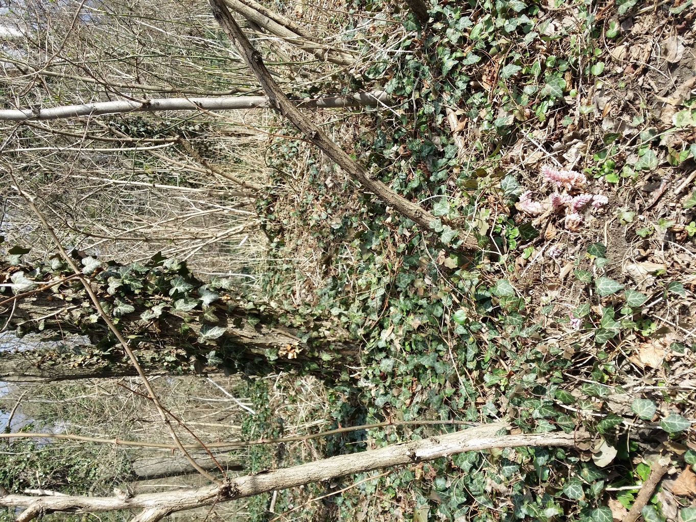 20210315_124338.jpg