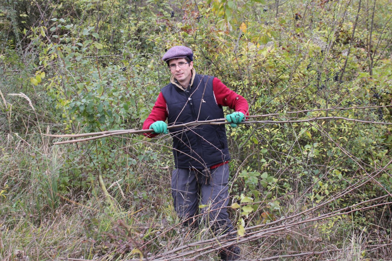 Galgenberg_Pflege_20171028_007.jpg