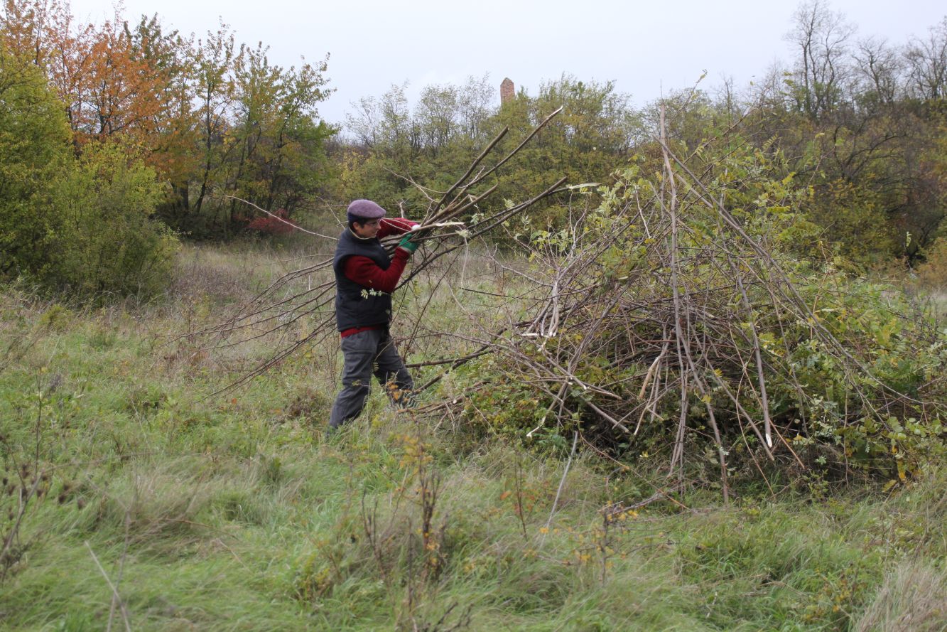 Galgenberg_Pflege_20171028_016.jpg