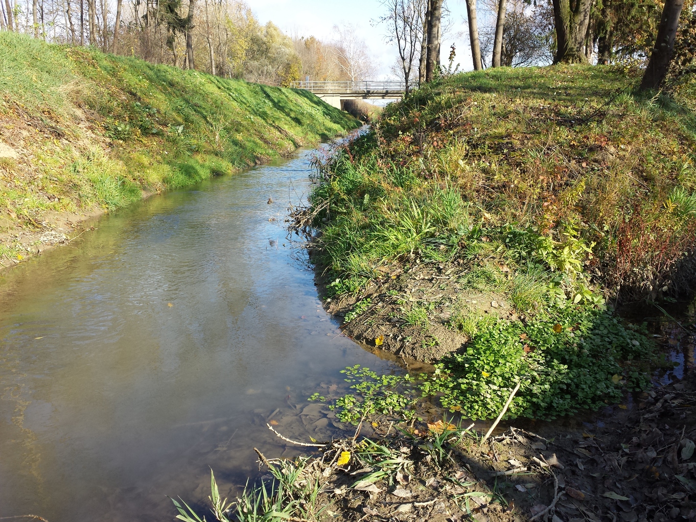 20171111_114544.jpg