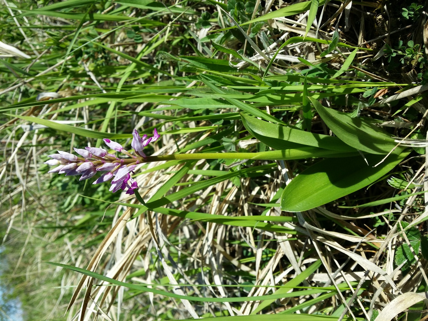20210508_094123.jpg