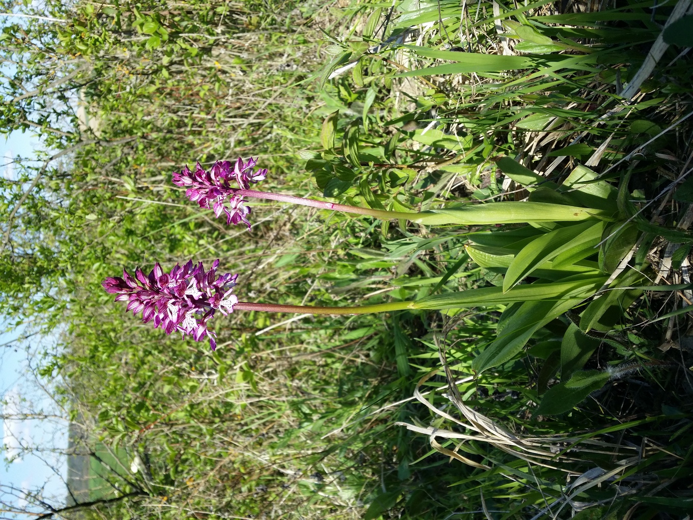 20210508_095717.jpg
