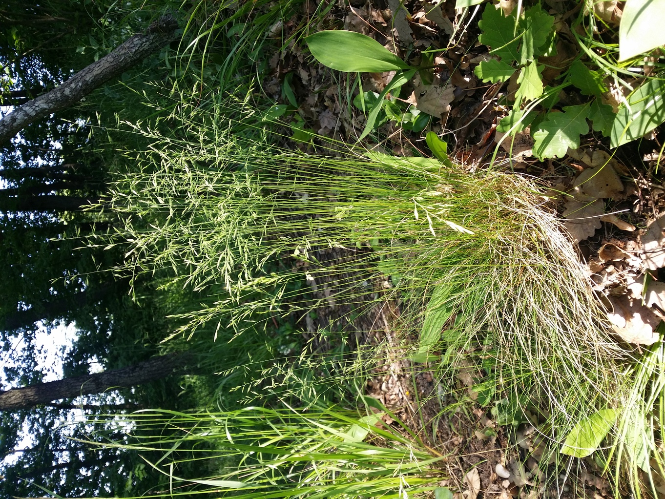 20210604_090718.jpg