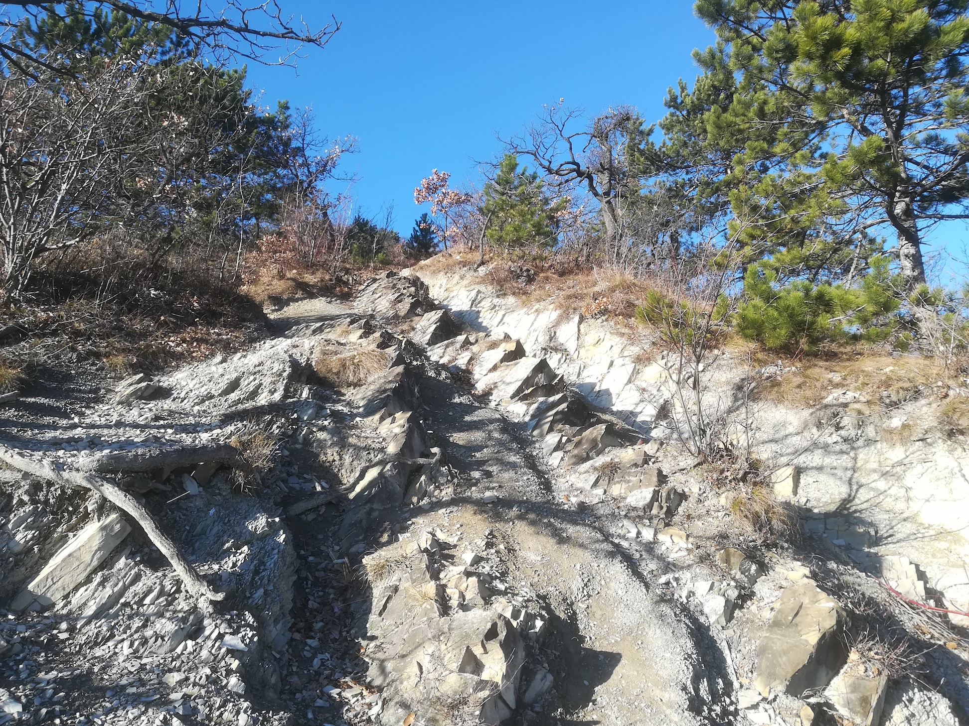 leopoldsberg nasenweg_20171225_115945.jpg