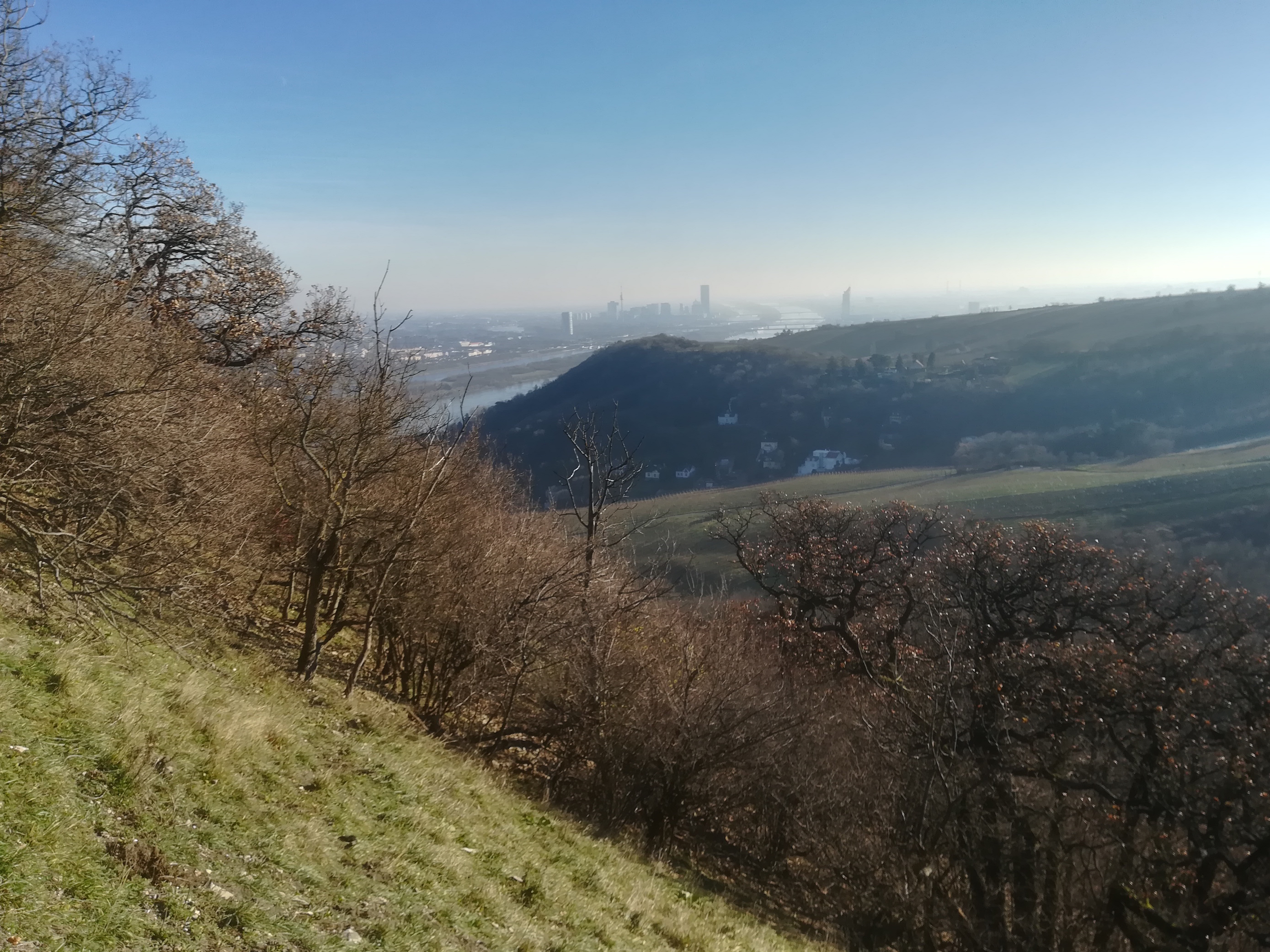 leopoldsberg südhang_20171225_125824.jpg