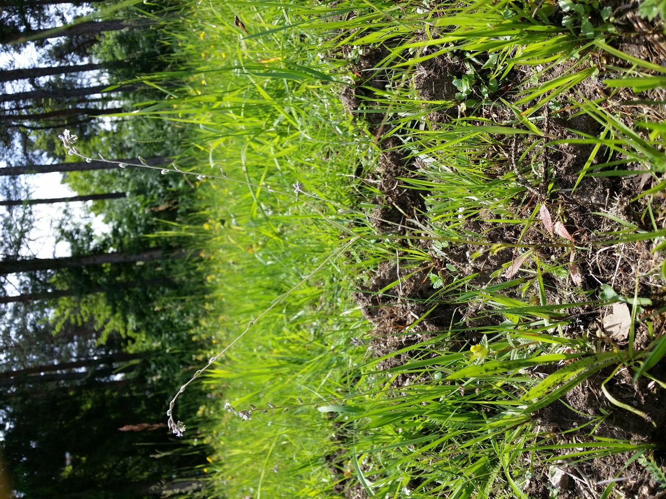 20210612_132449.jpg