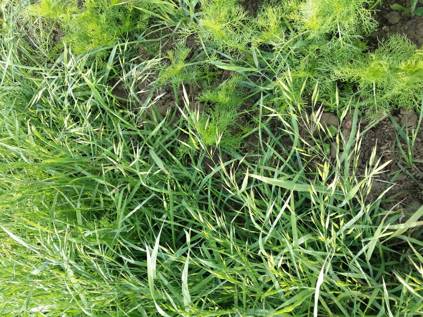 20210612_172553.jpg