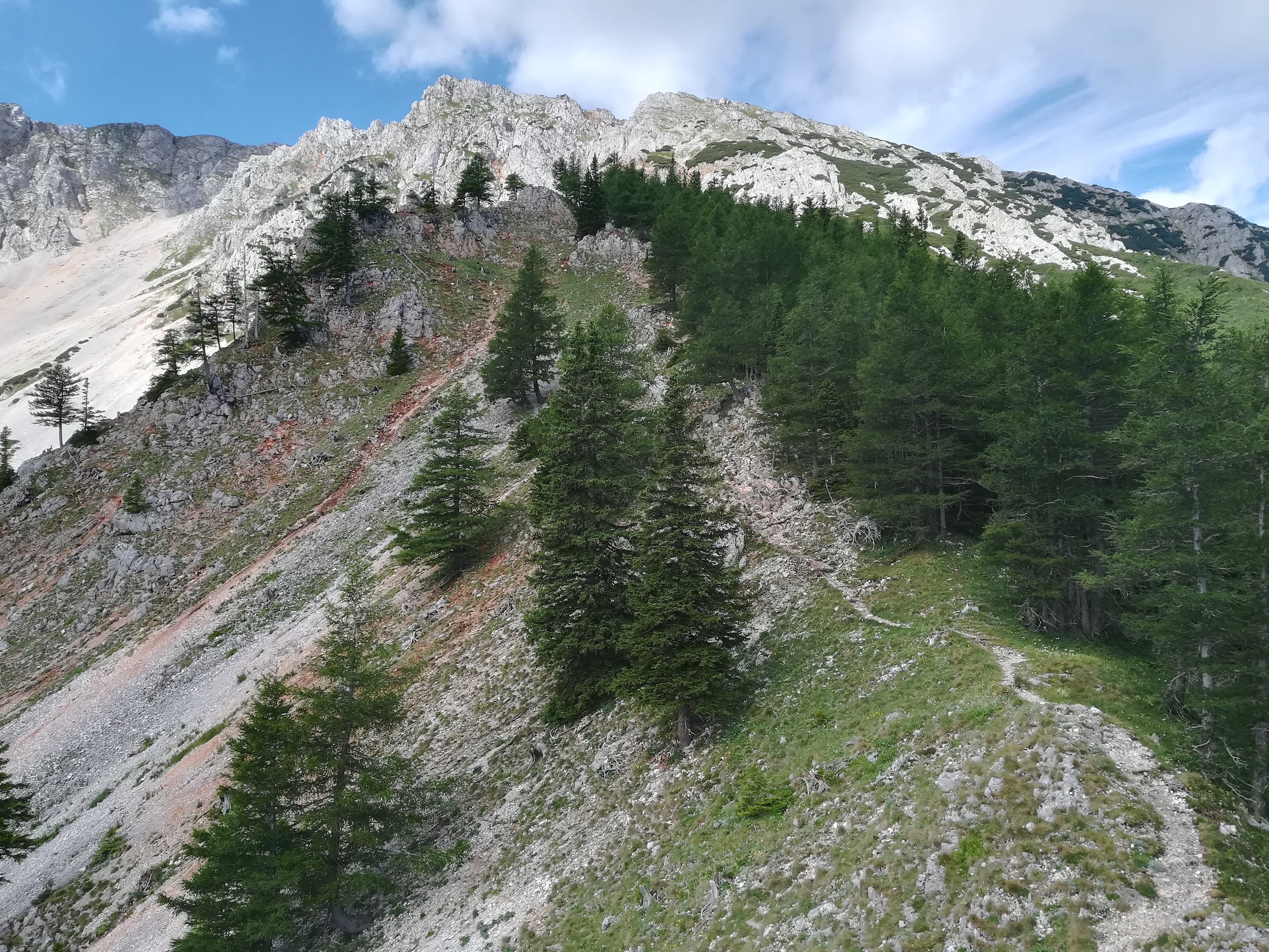 nandlsteig schneeberg_20210715_102629.jpg