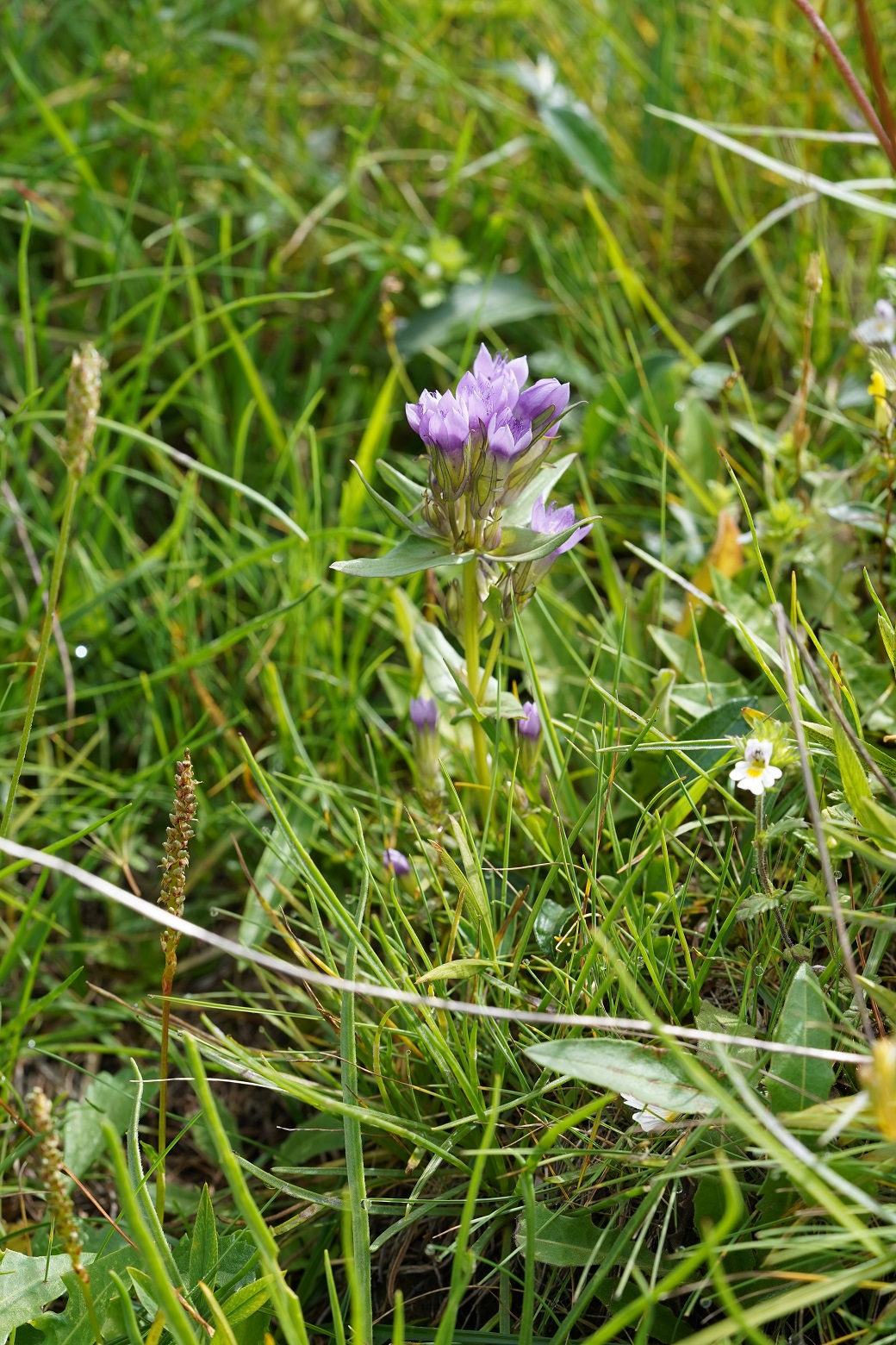 DSC09761.JPG