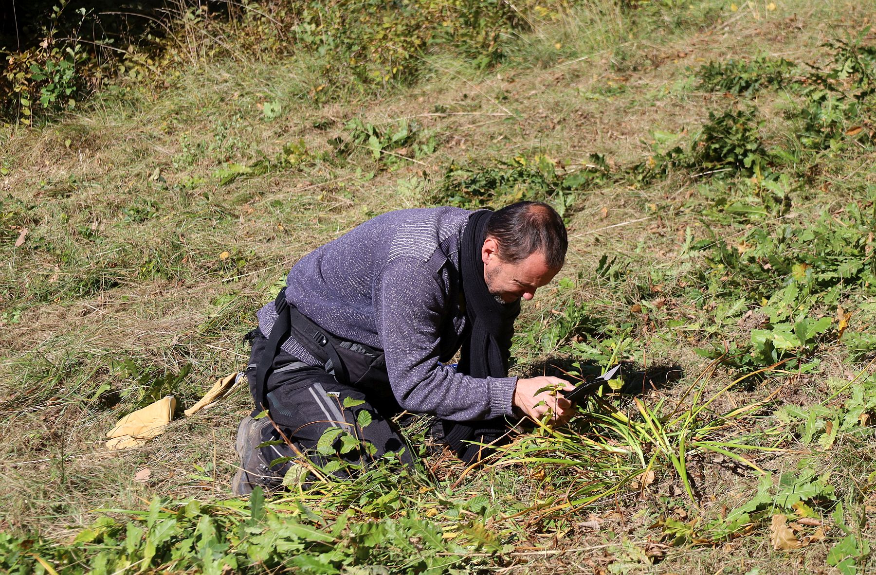 ND Hellwiese Kaltenleutgeben_20211016_10.jpg