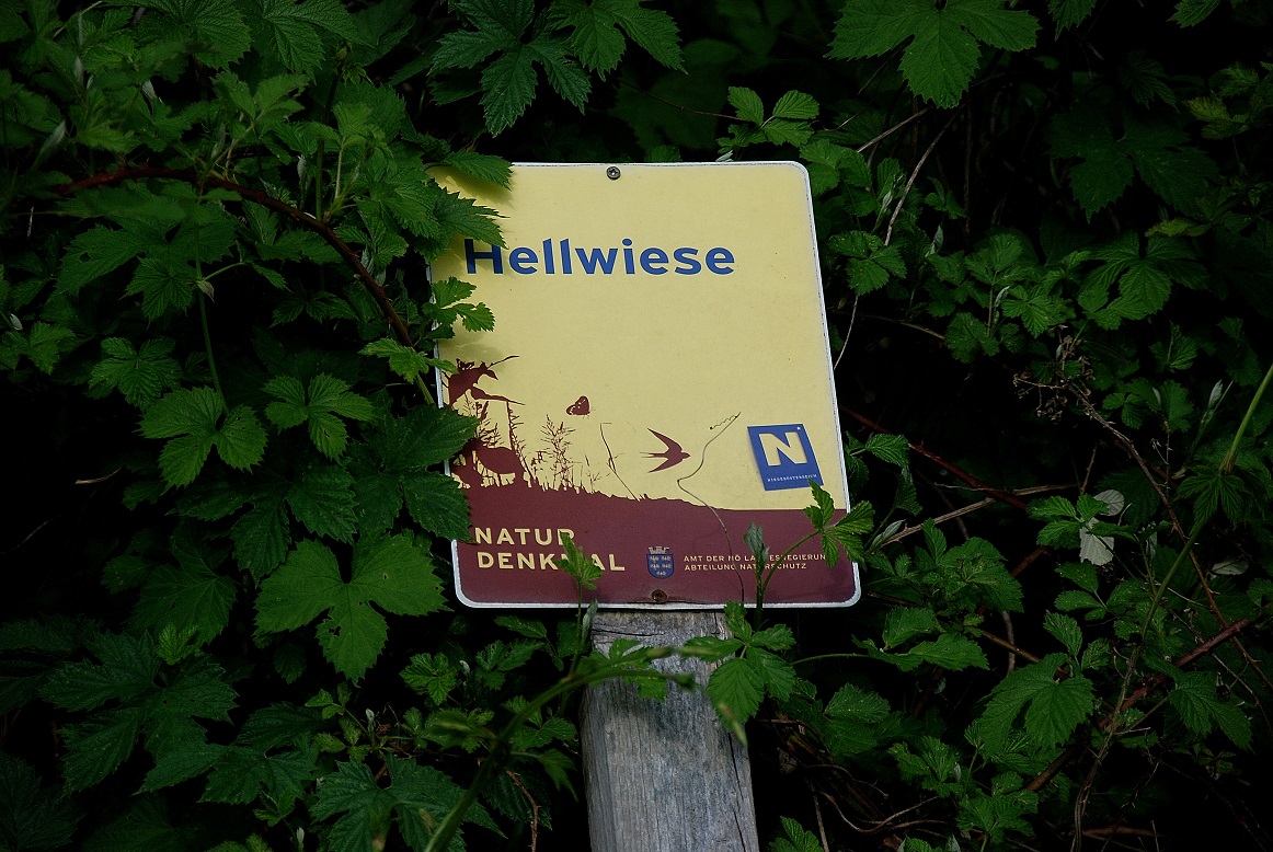 Kaltenleutgeben_Hellwiese_14052016_(1) - Naturdenkmaltafel.JPG