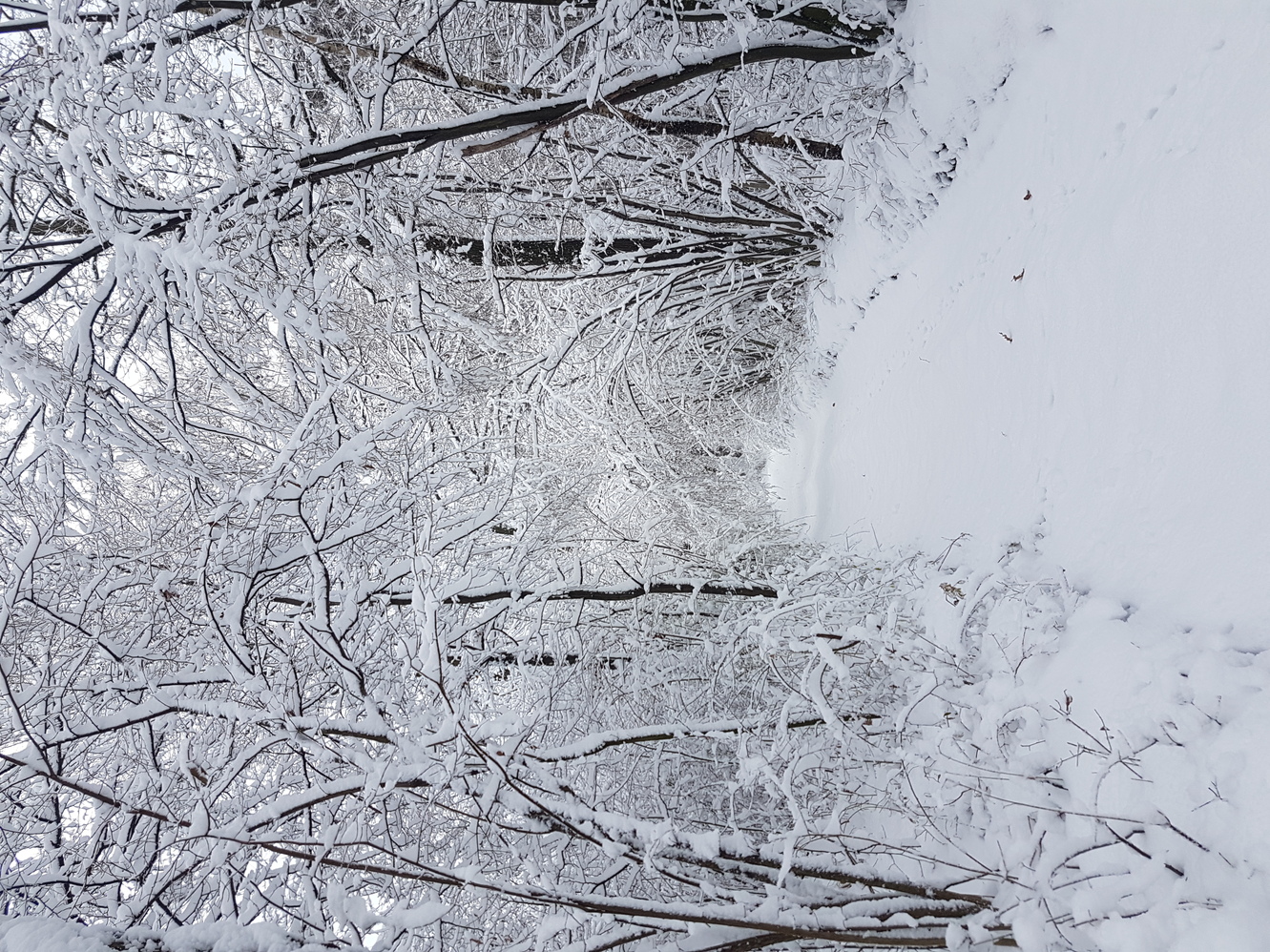 20211127_101139.jpg