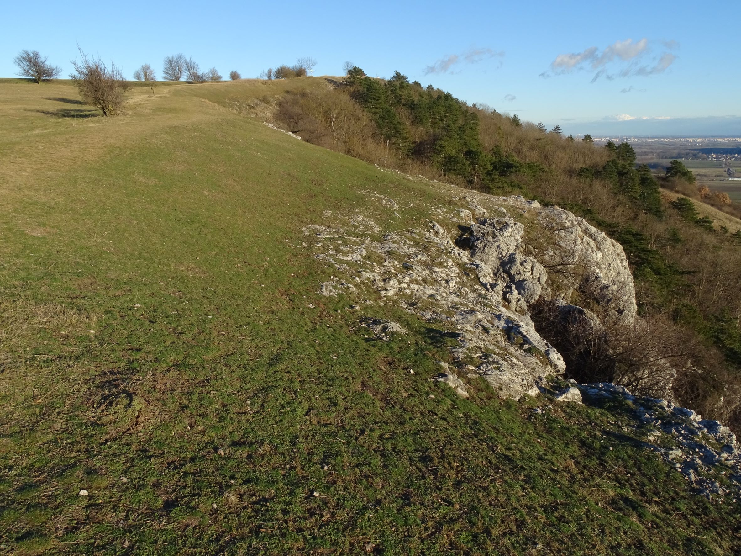 DSC07557 2022-01-06 braunsberg weiderasen.JPG