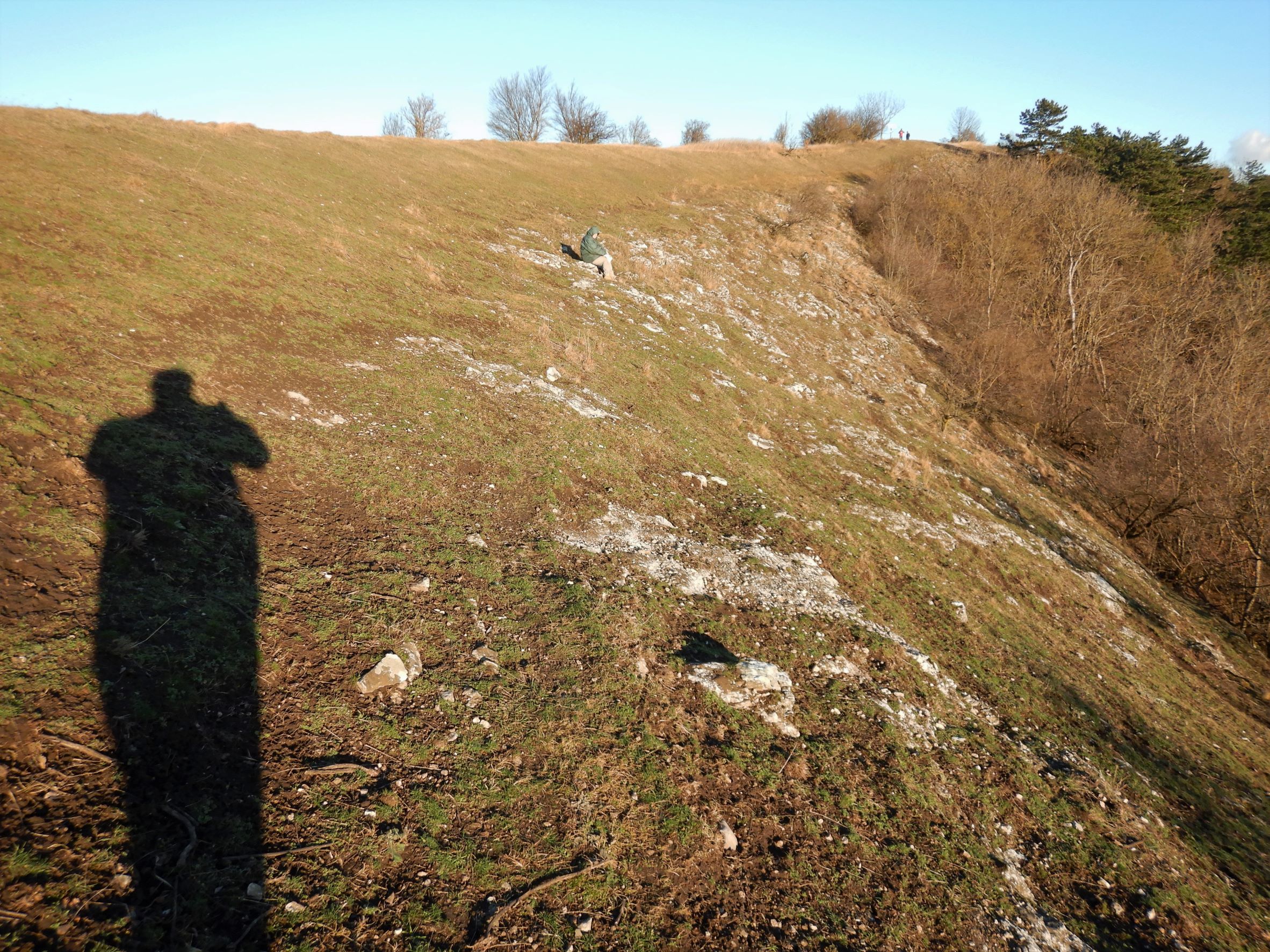 DSCN3467 2022-01-06 braunsberg überweidung.JPG