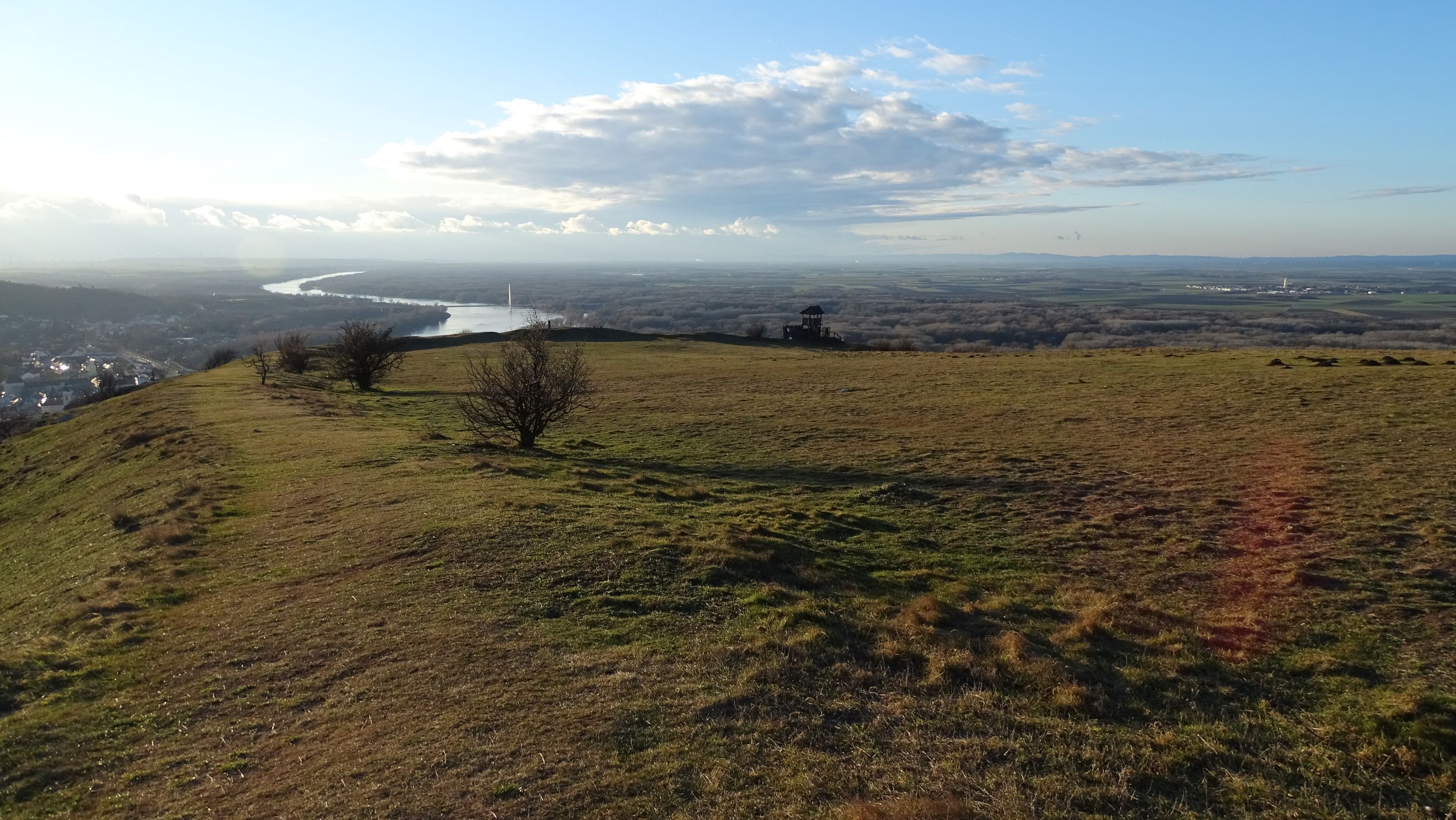 DSC07582 2022-01-06 braunsberg weiderasen.JPG