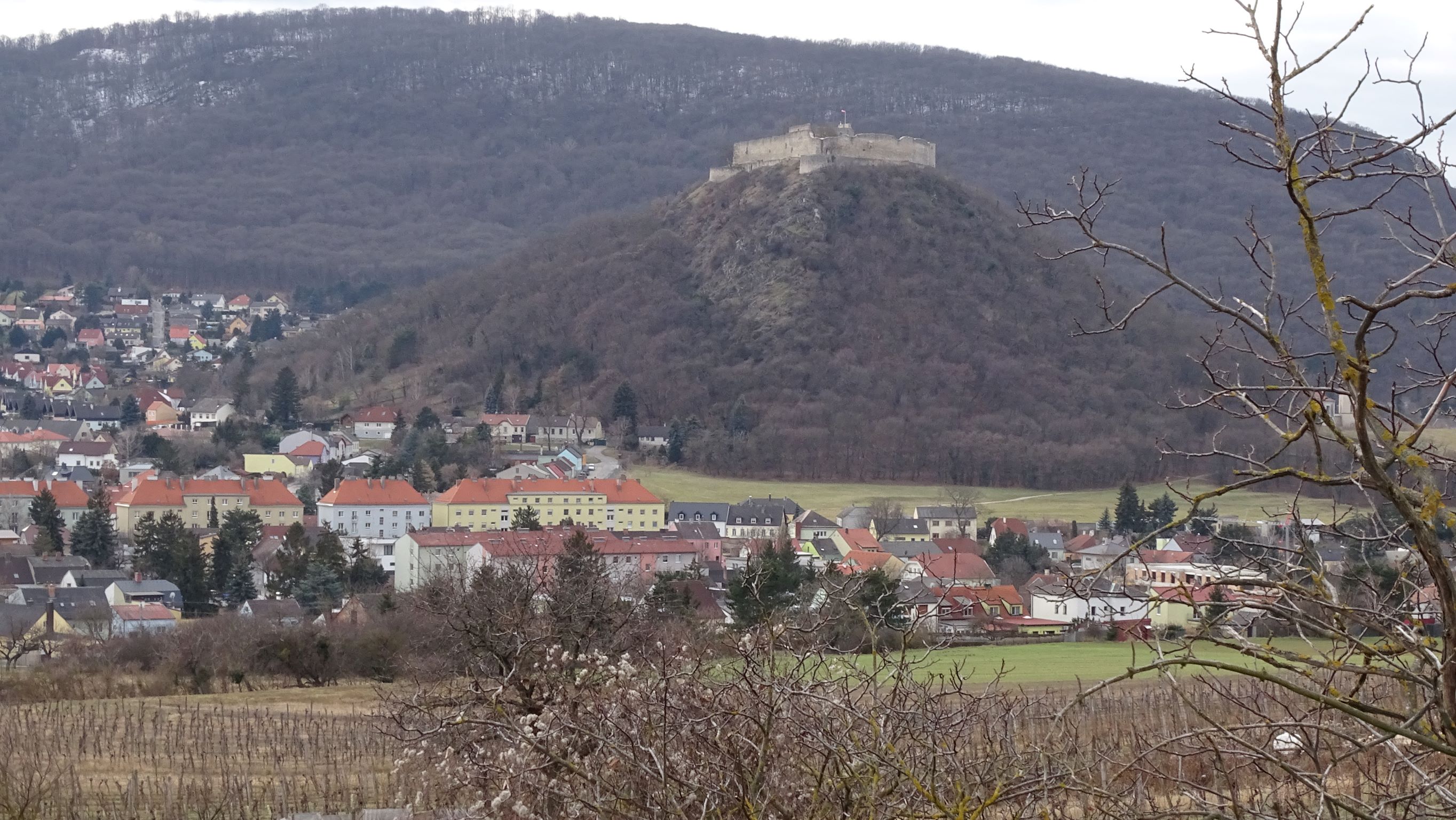 DSC00034 hainburg, 2022-01-29.JPG