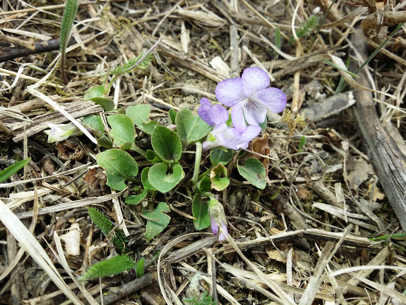 20220327_105354.jpg