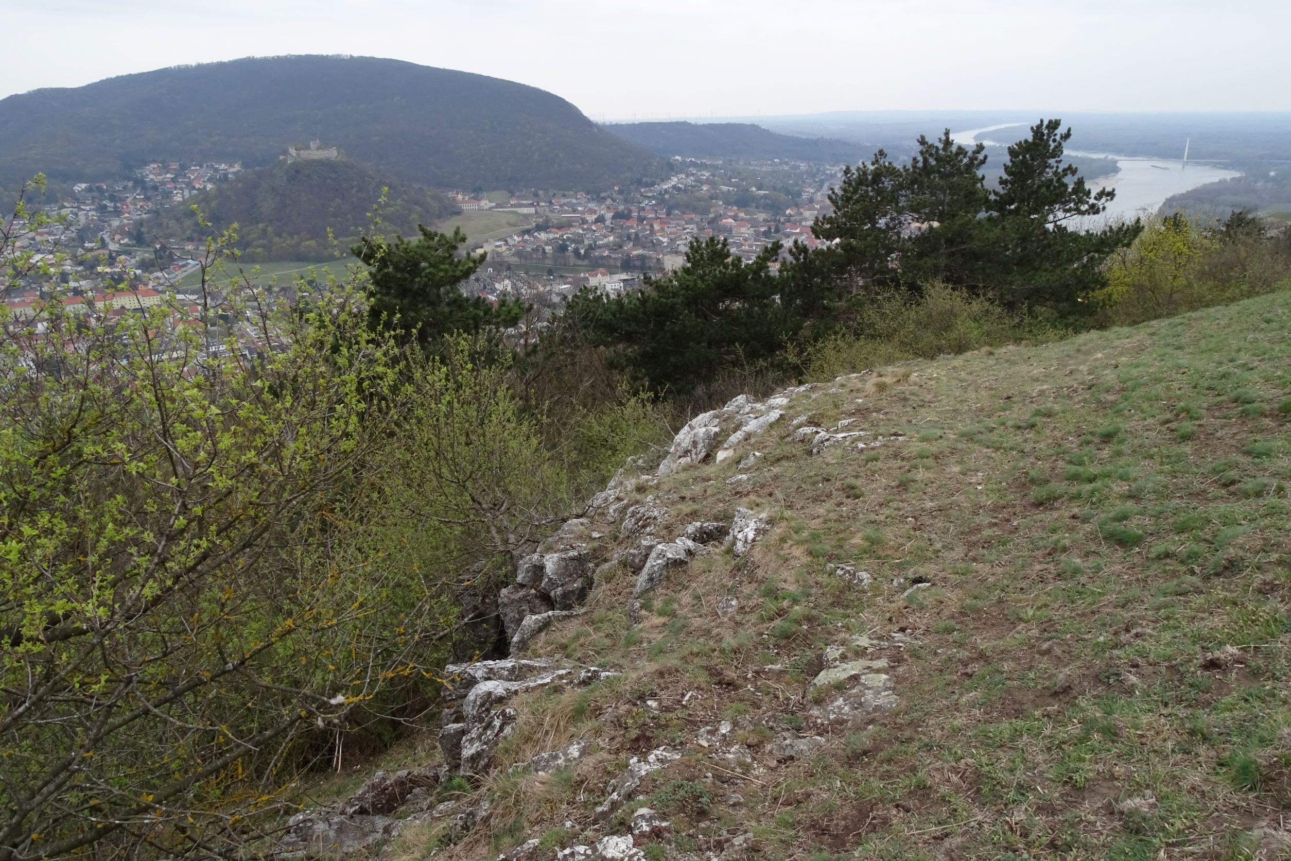 DSC02825 2022-04-02, Blick nach Hainburg, Braunsberg.JPG