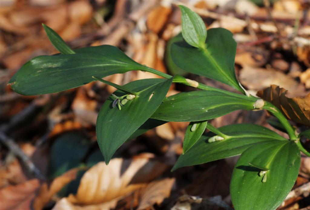 9.3.14 image_469605[1].jpg