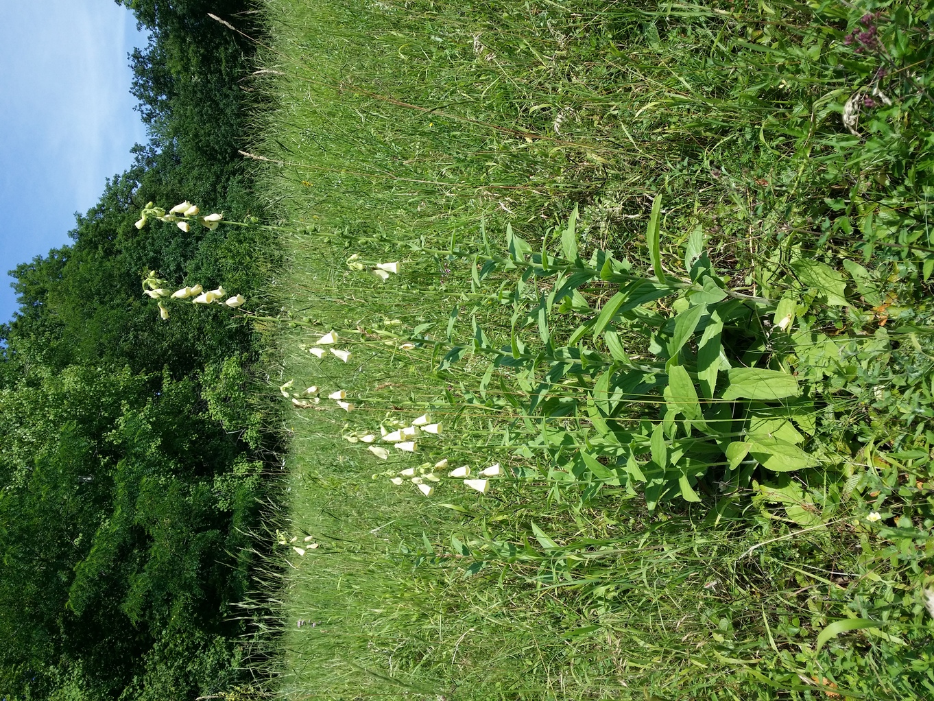 20220701_103440.jpg