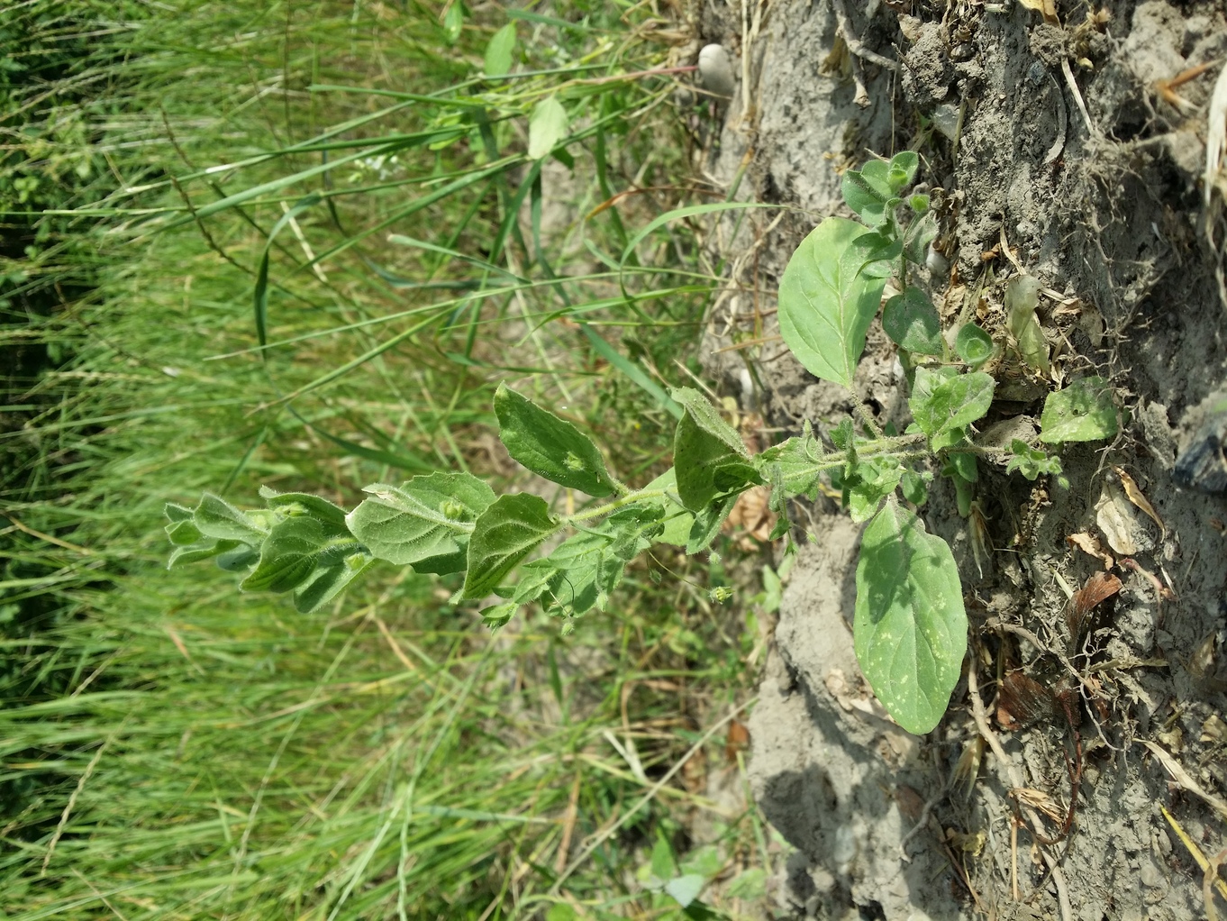 20220707_182047.jpg