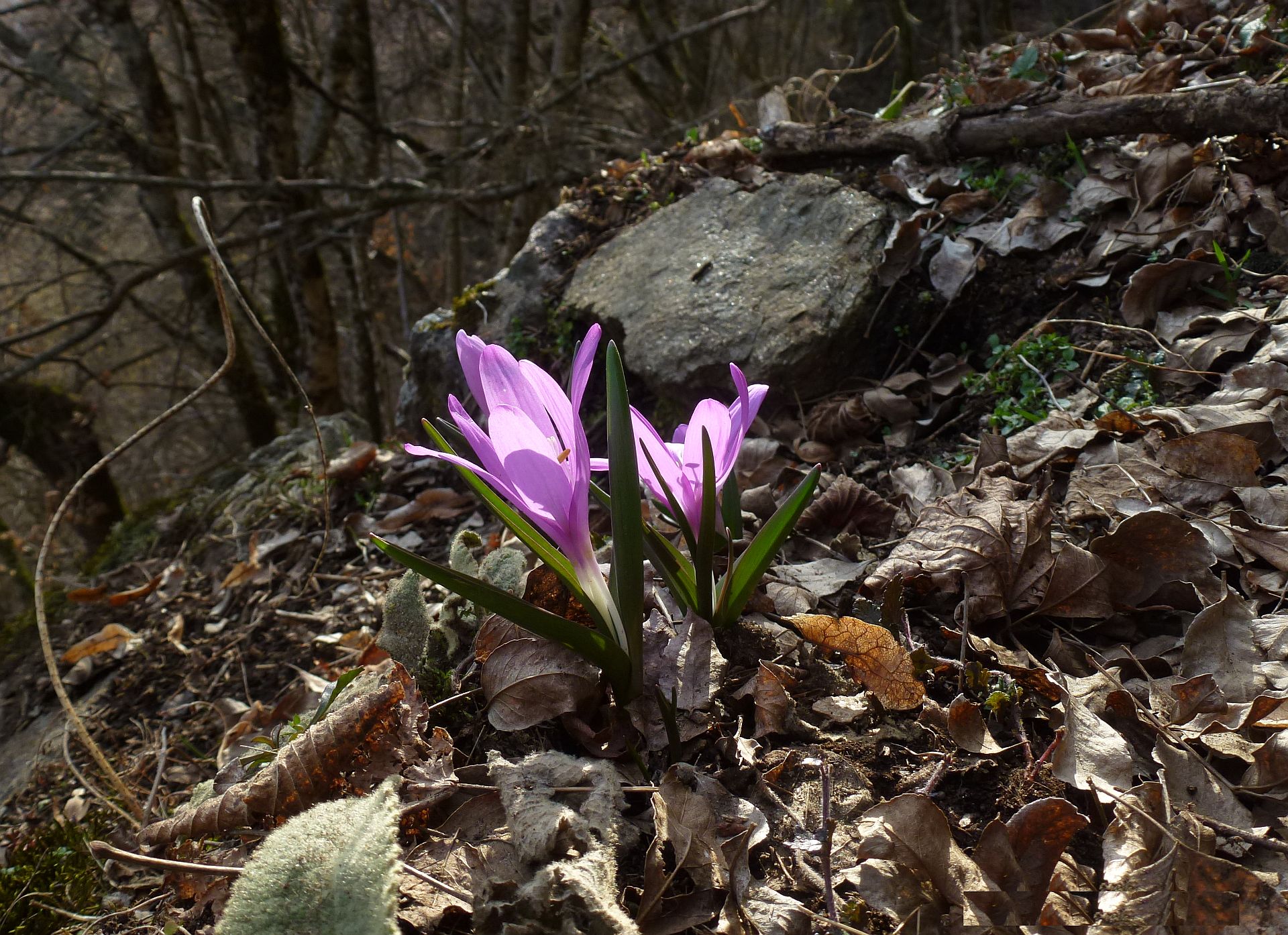 04P1410013.jpg