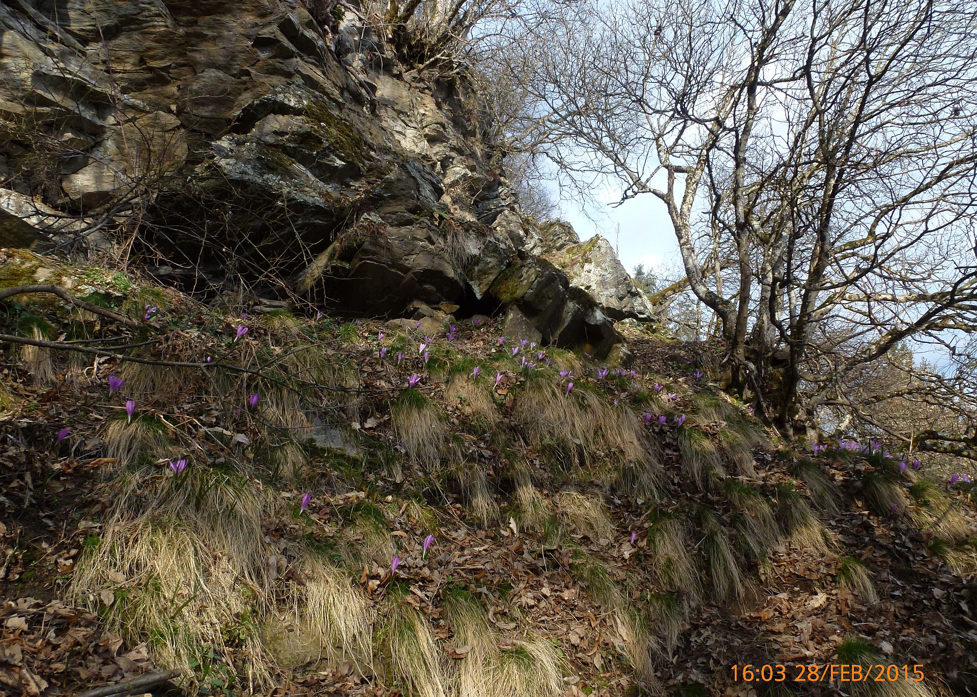 05P1400994.jpg
