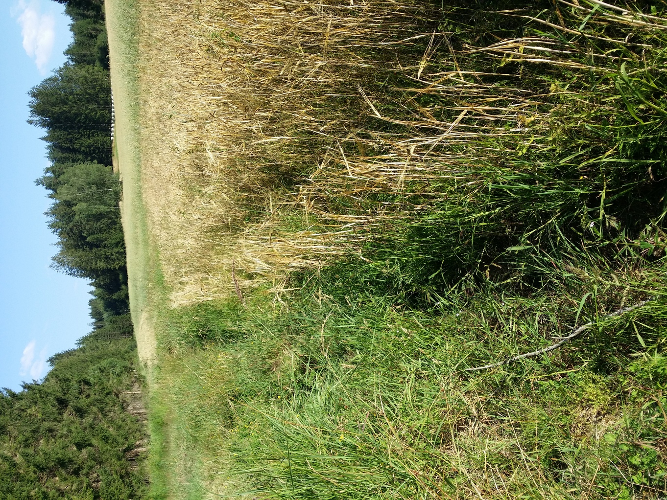 20220722_175505.jpg