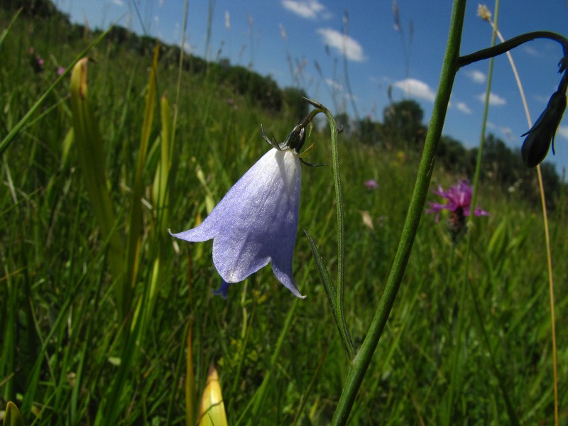 k-28.6.11.JPG