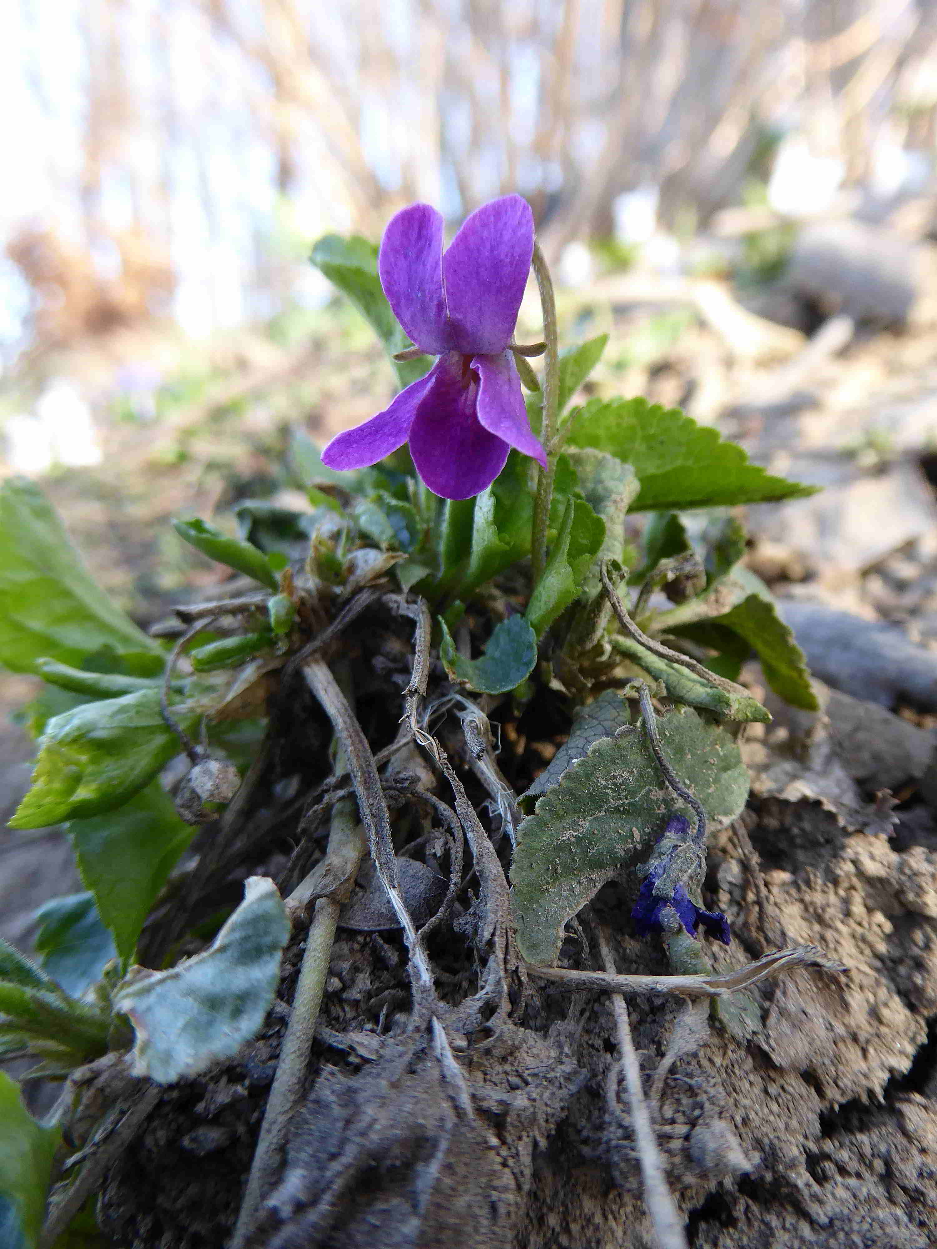 P1050841.JPG