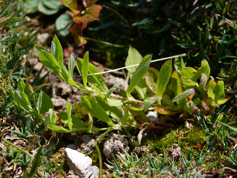 P1017866.JPG