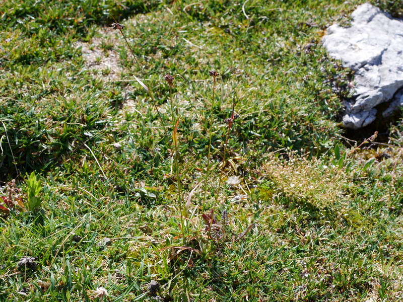 P1017781-001.JPG