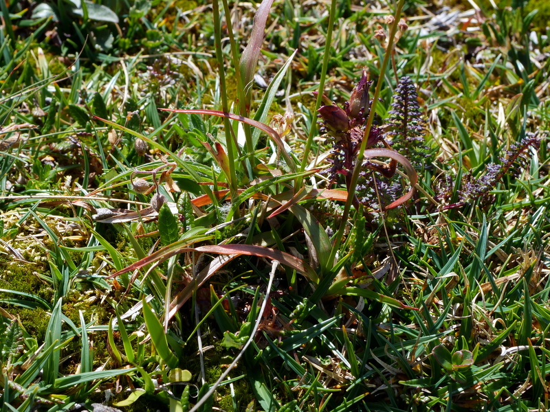 P1017783.JPG
