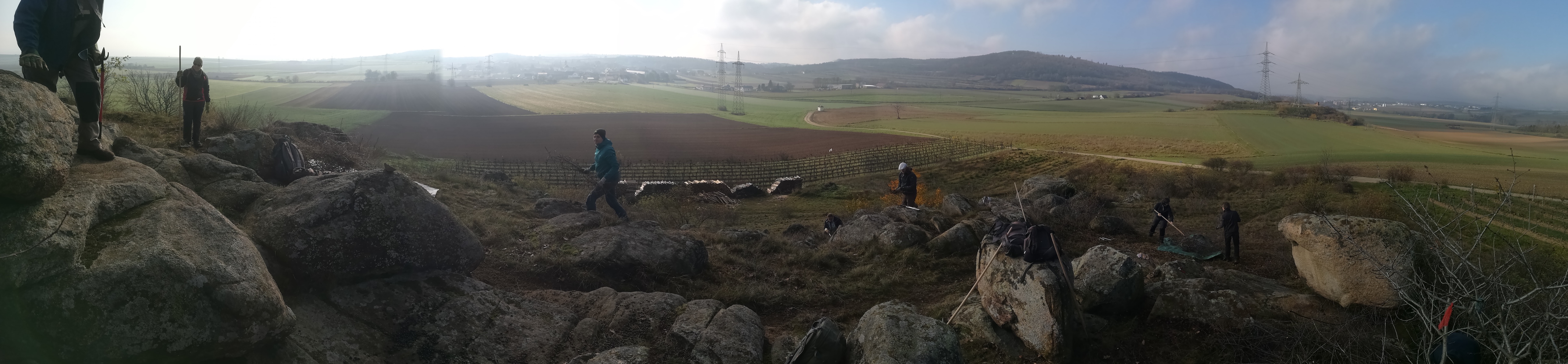 pflegeeinsatz fehhaube - kogelsteine_20221113_110009.jpg