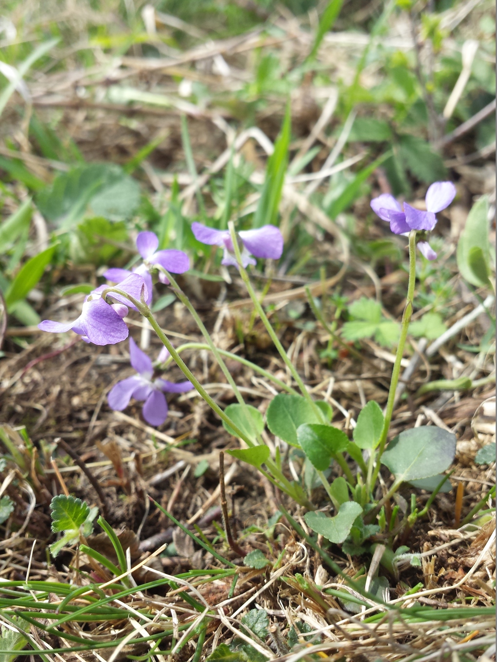 20180415_104430.jpg