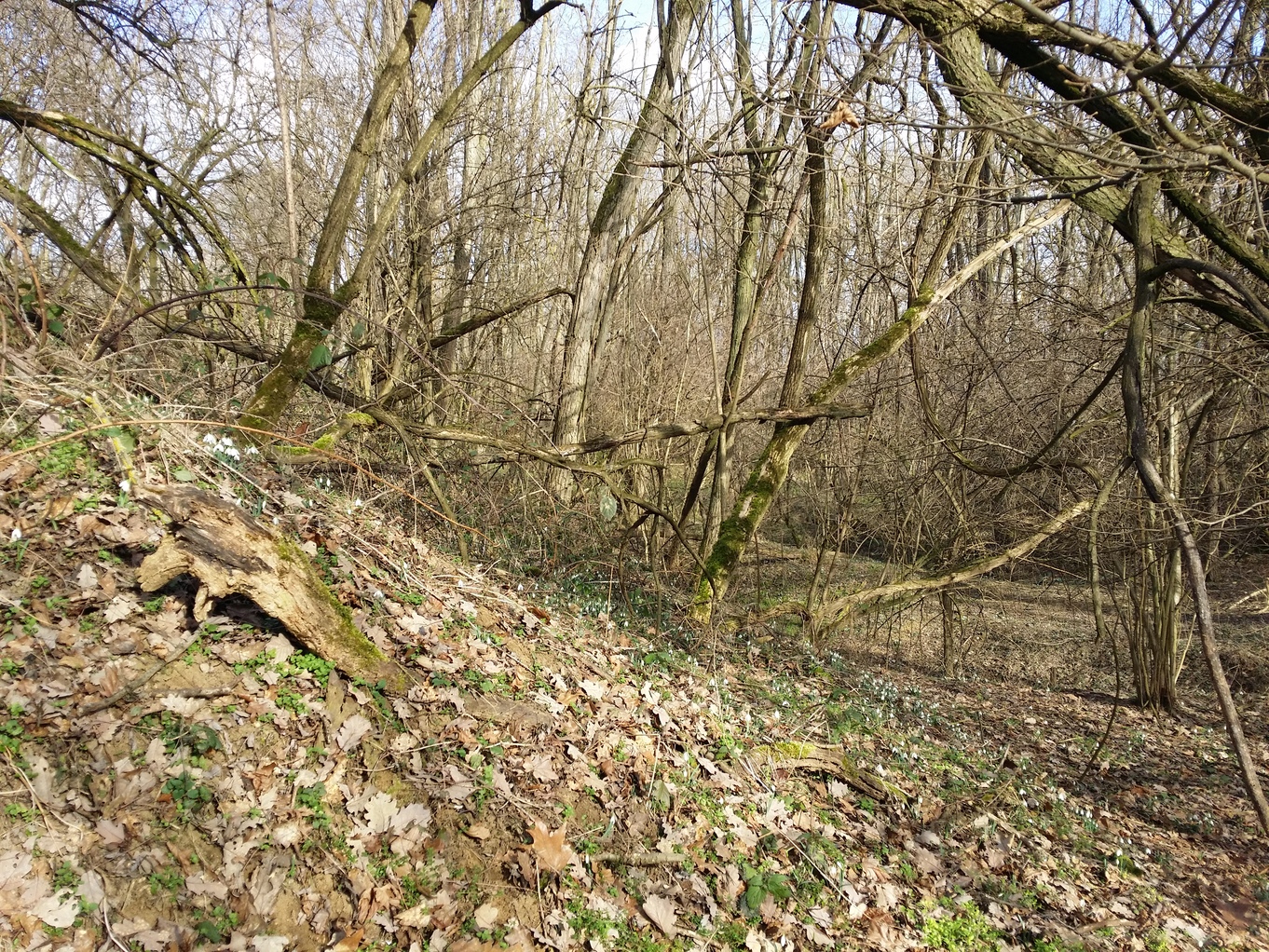 20230219_102819.jpg