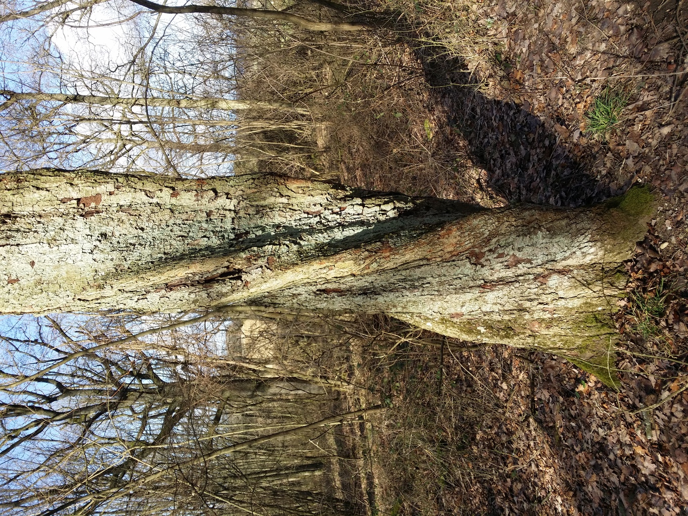 20230219_103706.jpg