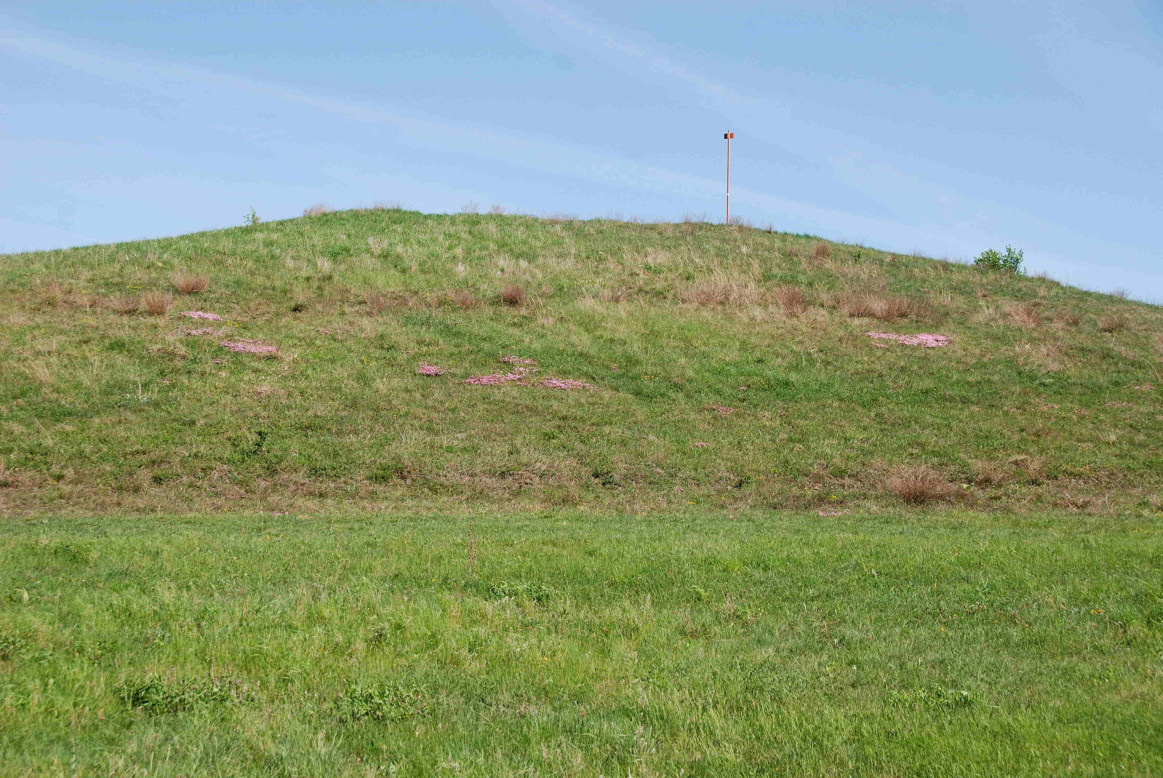 Siegendort-Burgenland-Naturschutzgebiet-21042018-(56).JPG