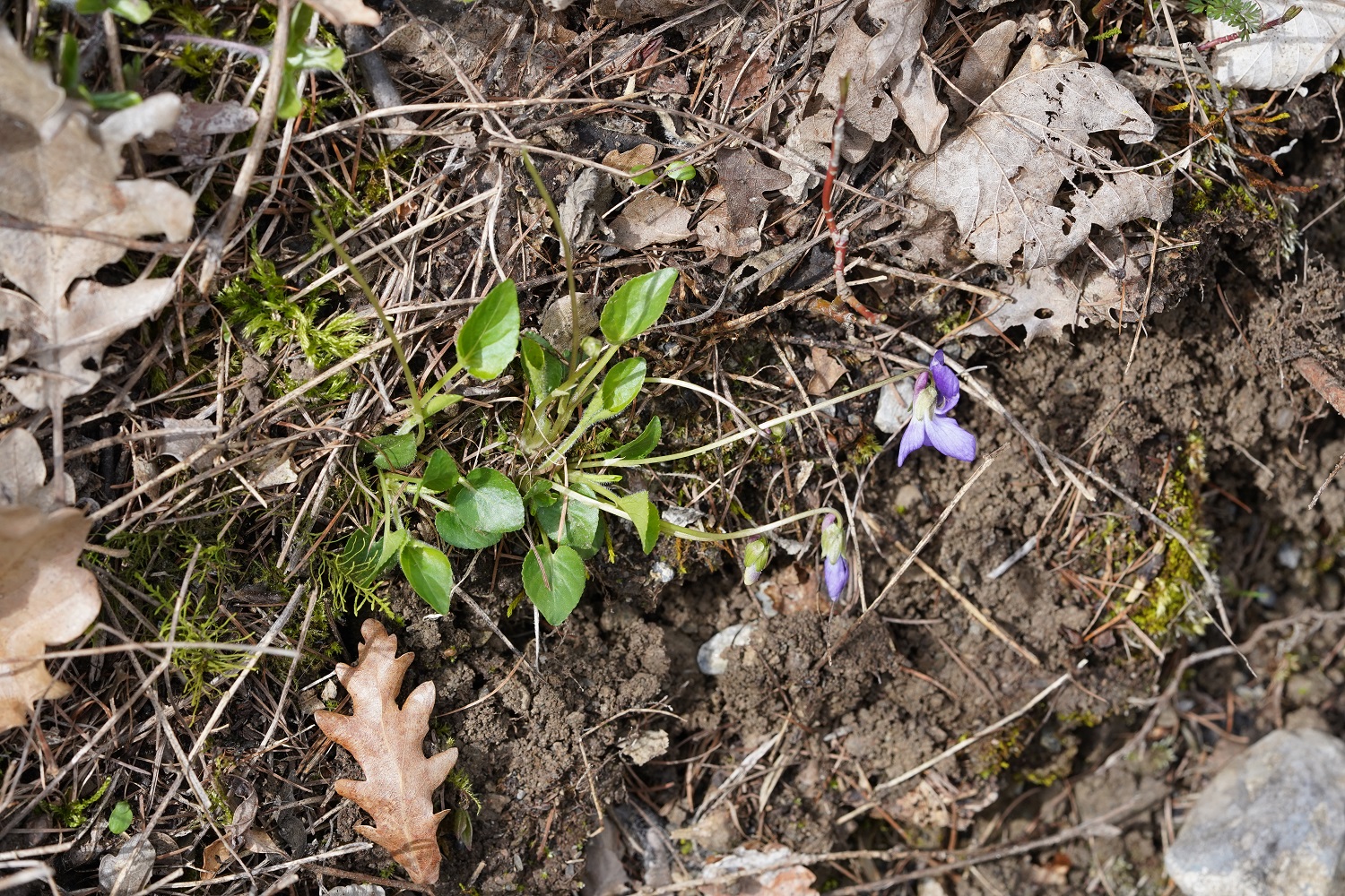 DSC04791.JPG