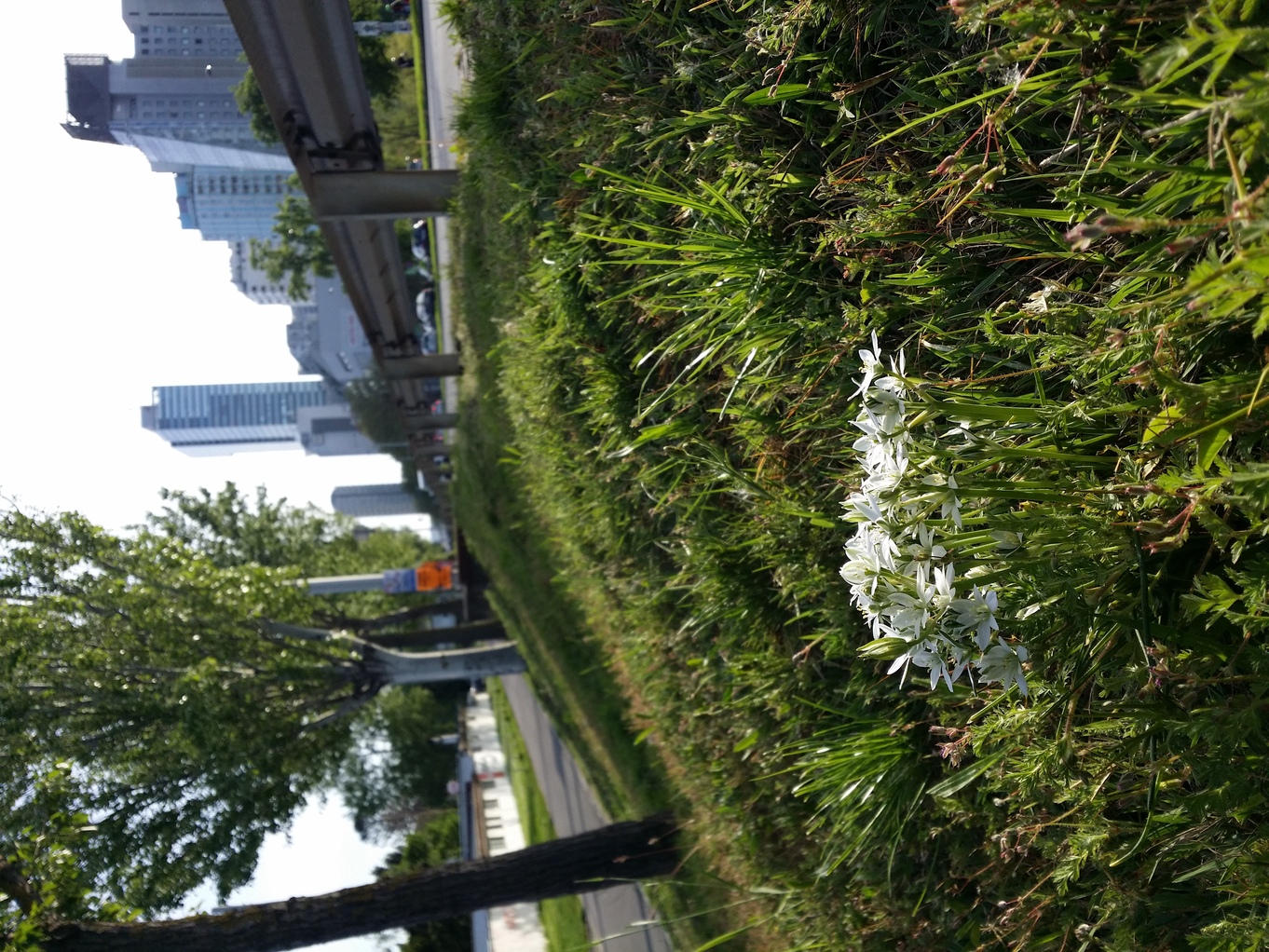 20230504_180444.jpg