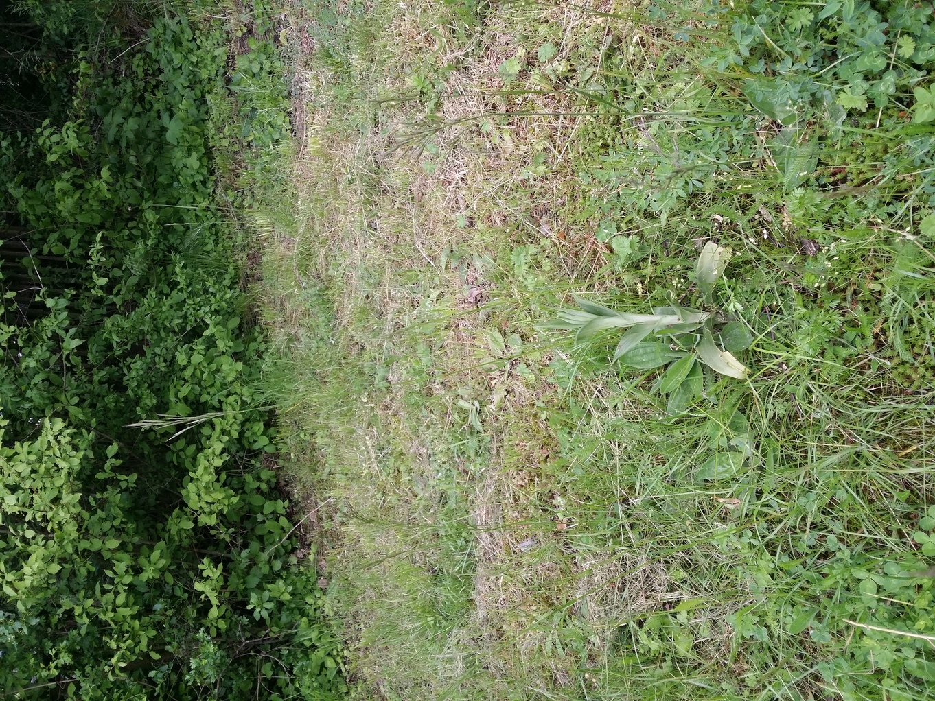 20230513_143030.jpg