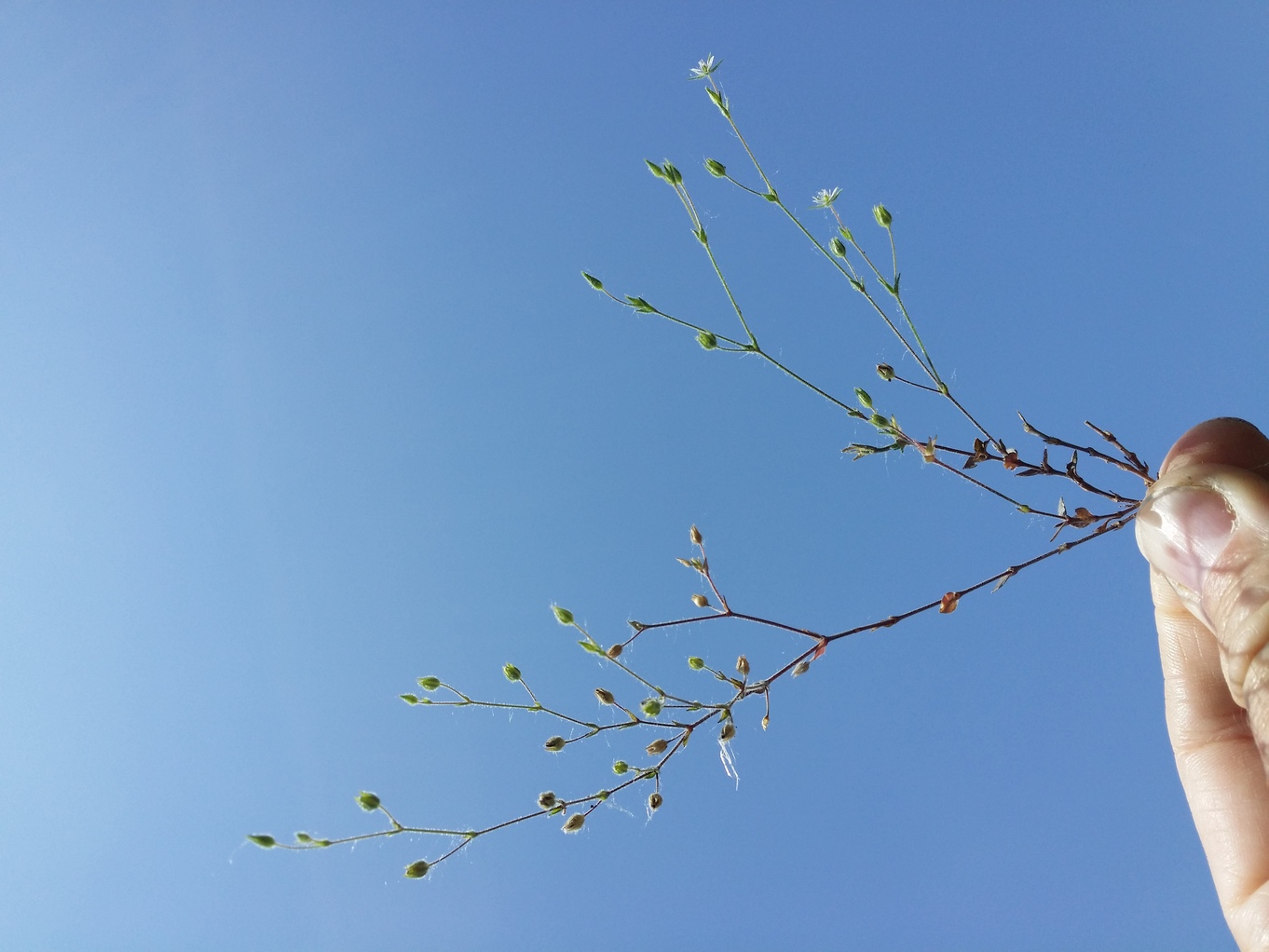 20230526_122706.jpg