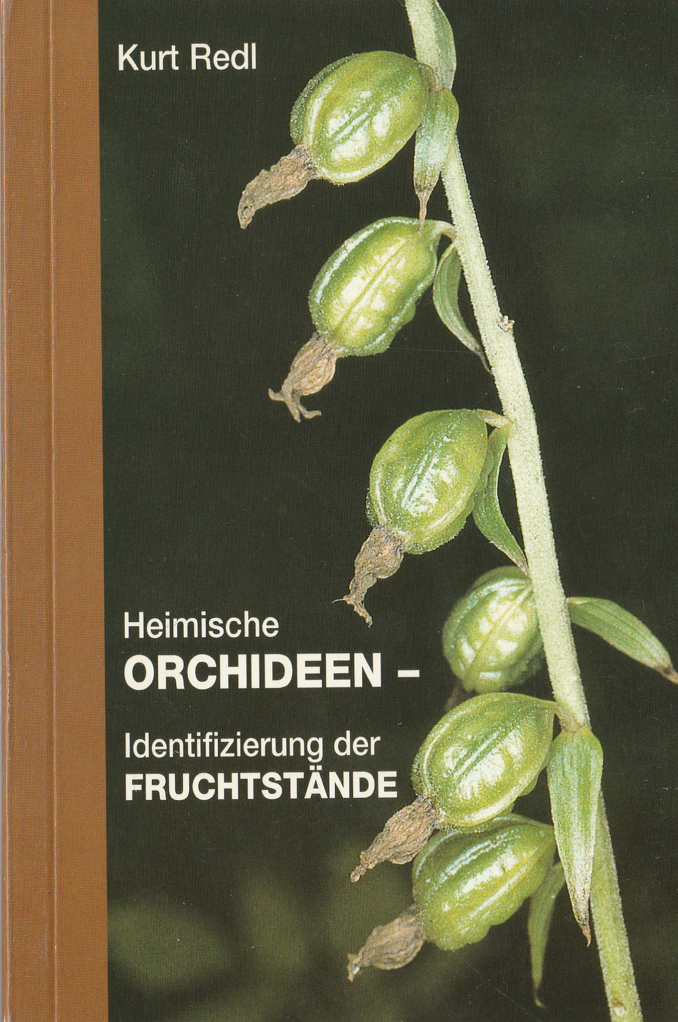 Cover Kurt Redl Orchideen Fruchtstände.jpg