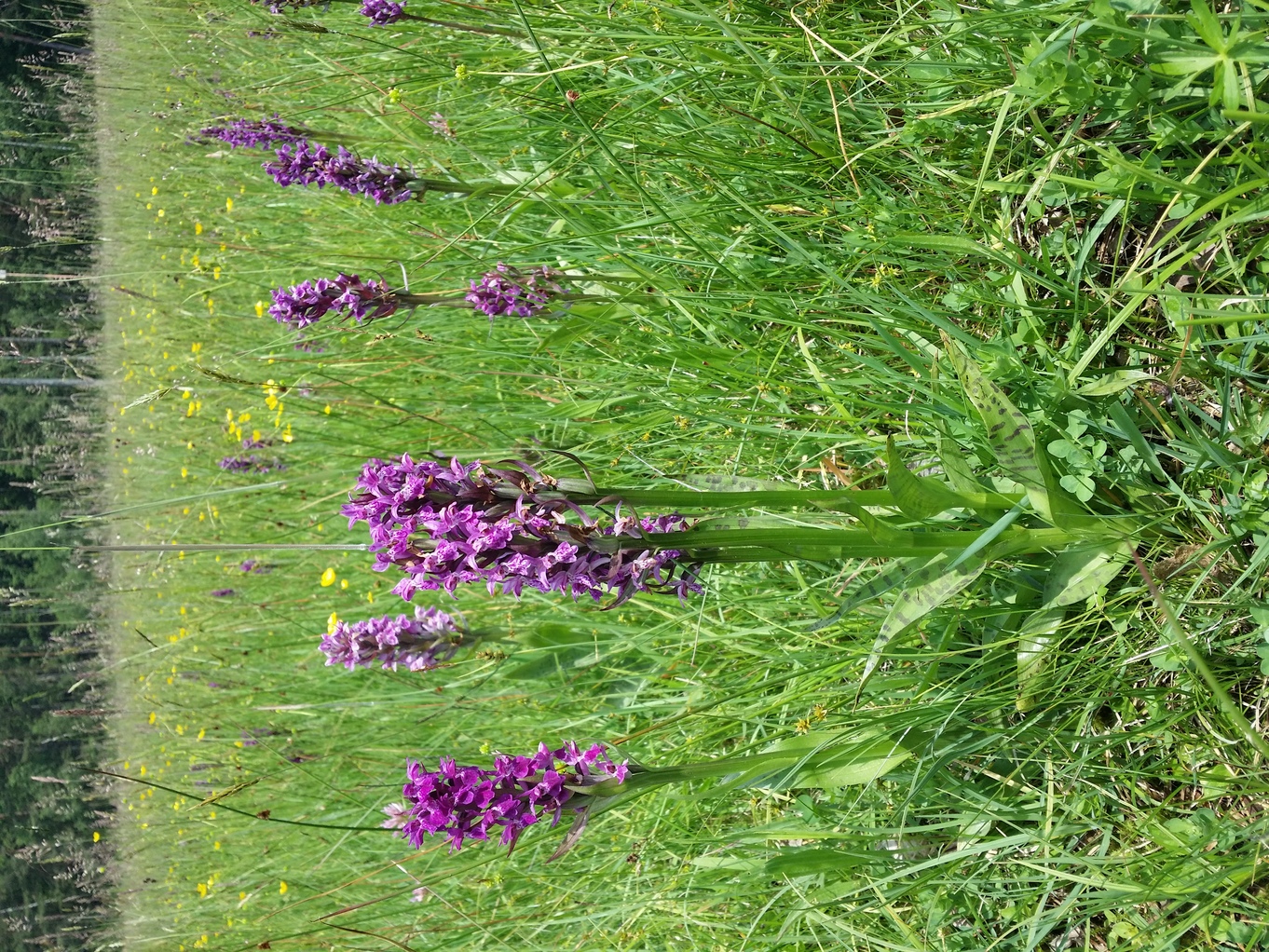 20230609_125533.jpg