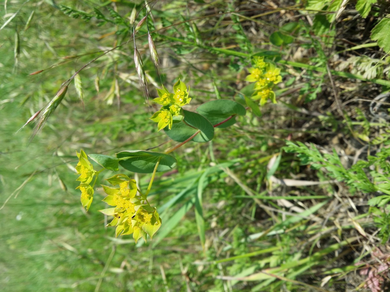 20230618_113003.jpg