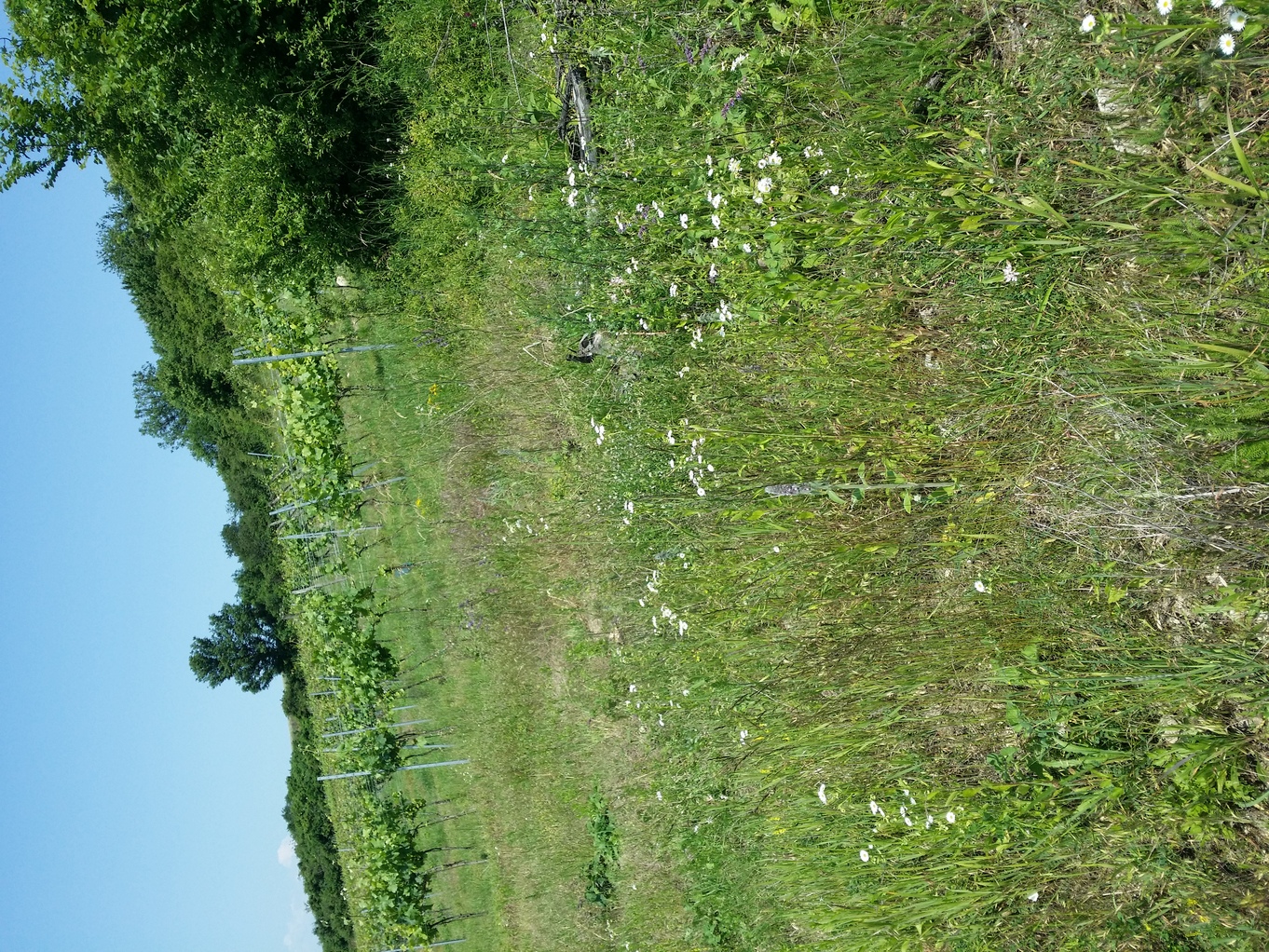 20230618_113543.jpg