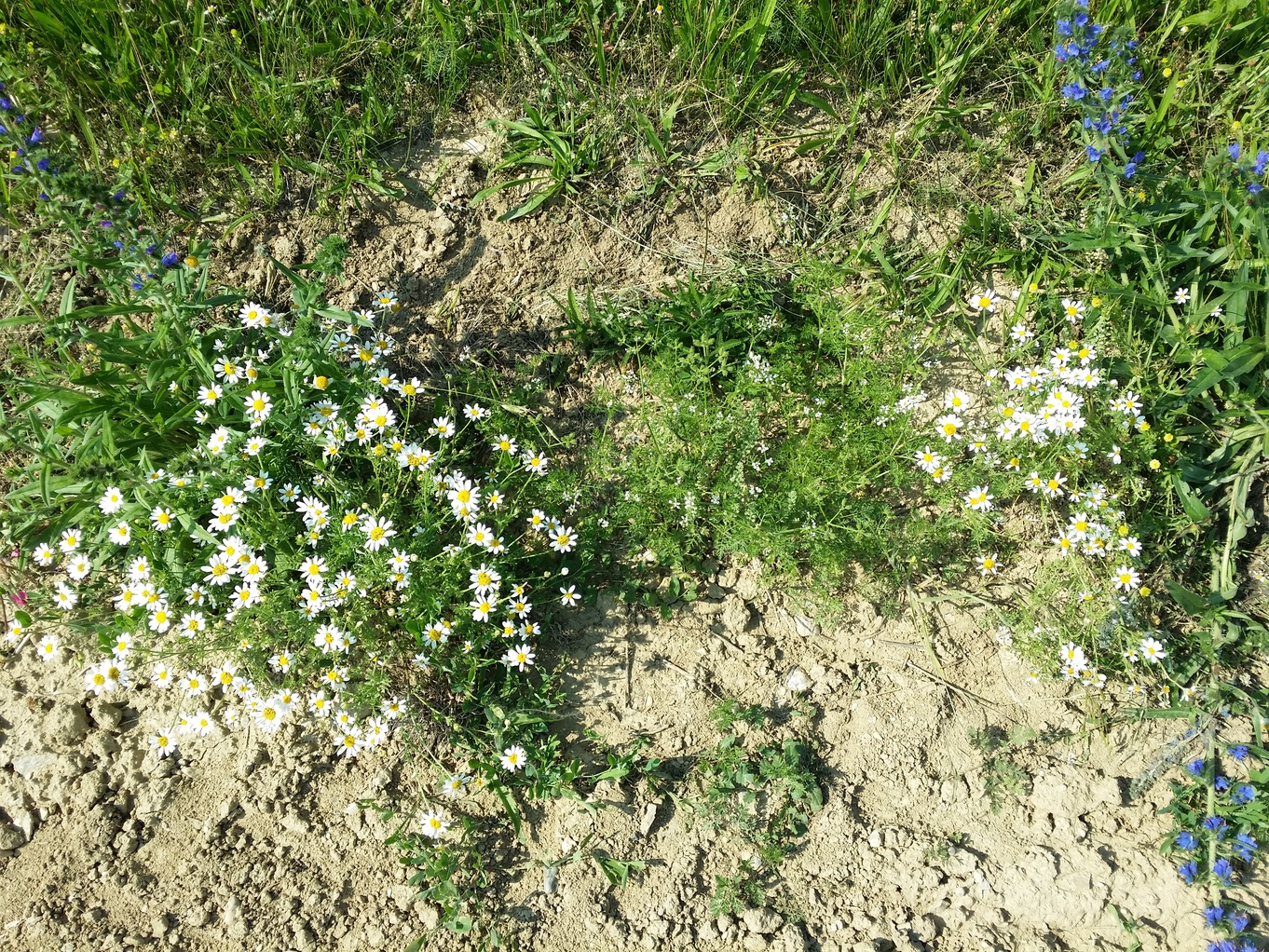 20230618_164019.jpg