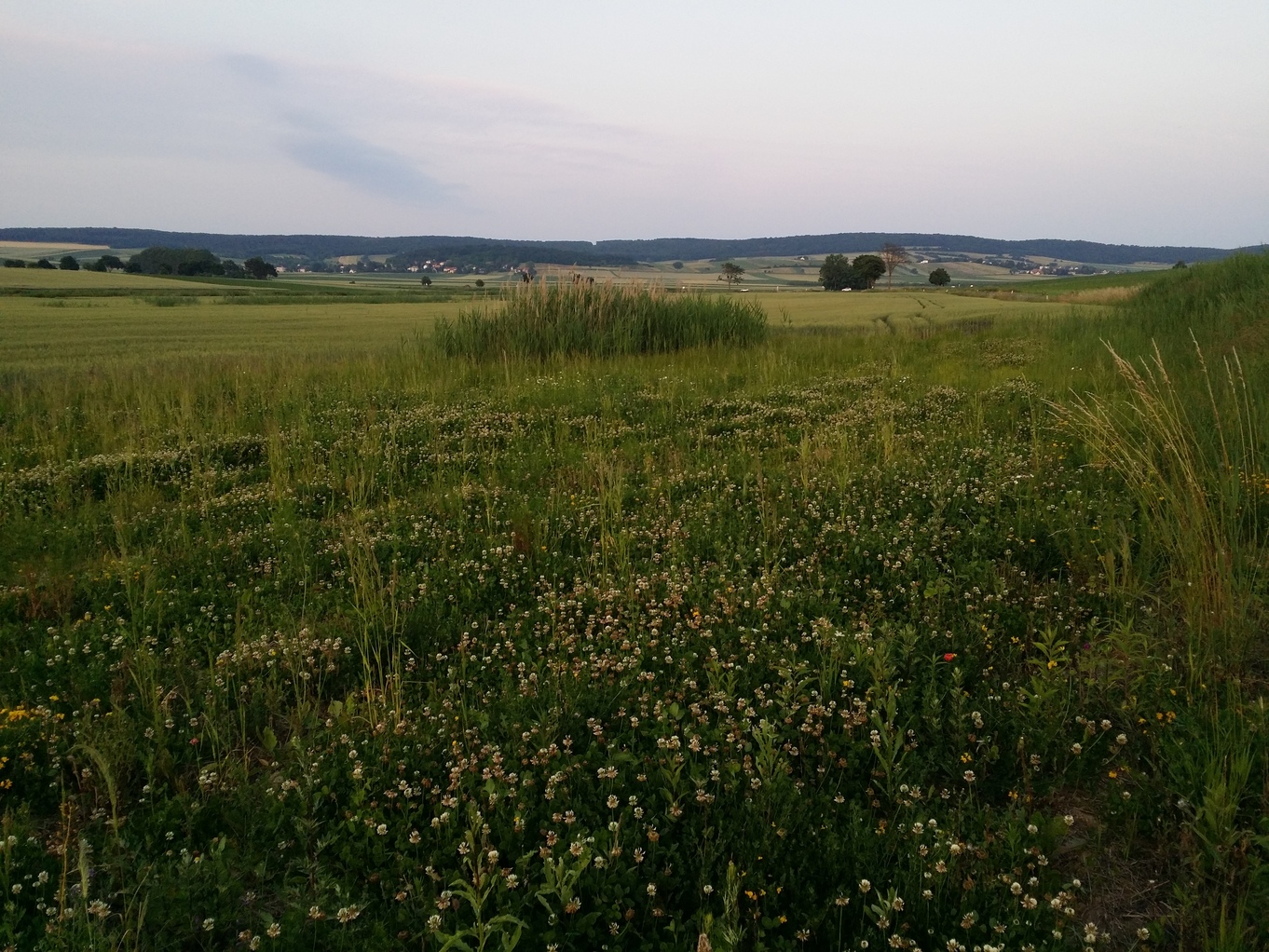 20230618_204543.jpg
