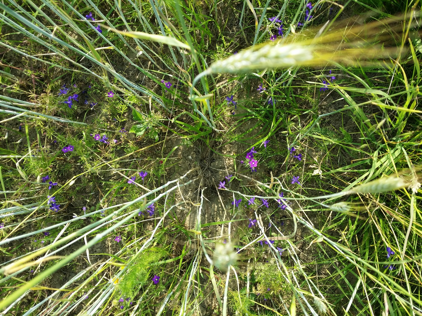 20230619_175029.jpg